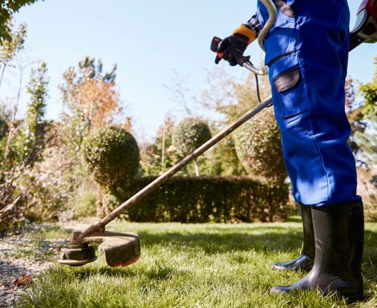 Matériel de jardinage en location à Marciac avec conseils personnalisés